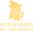 Antichi Vigneti di Cantalupo